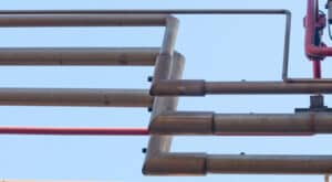 Corus-plant-Lin-Lar-Lox-700x3863