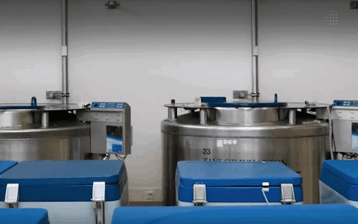 Cryogenic insulation