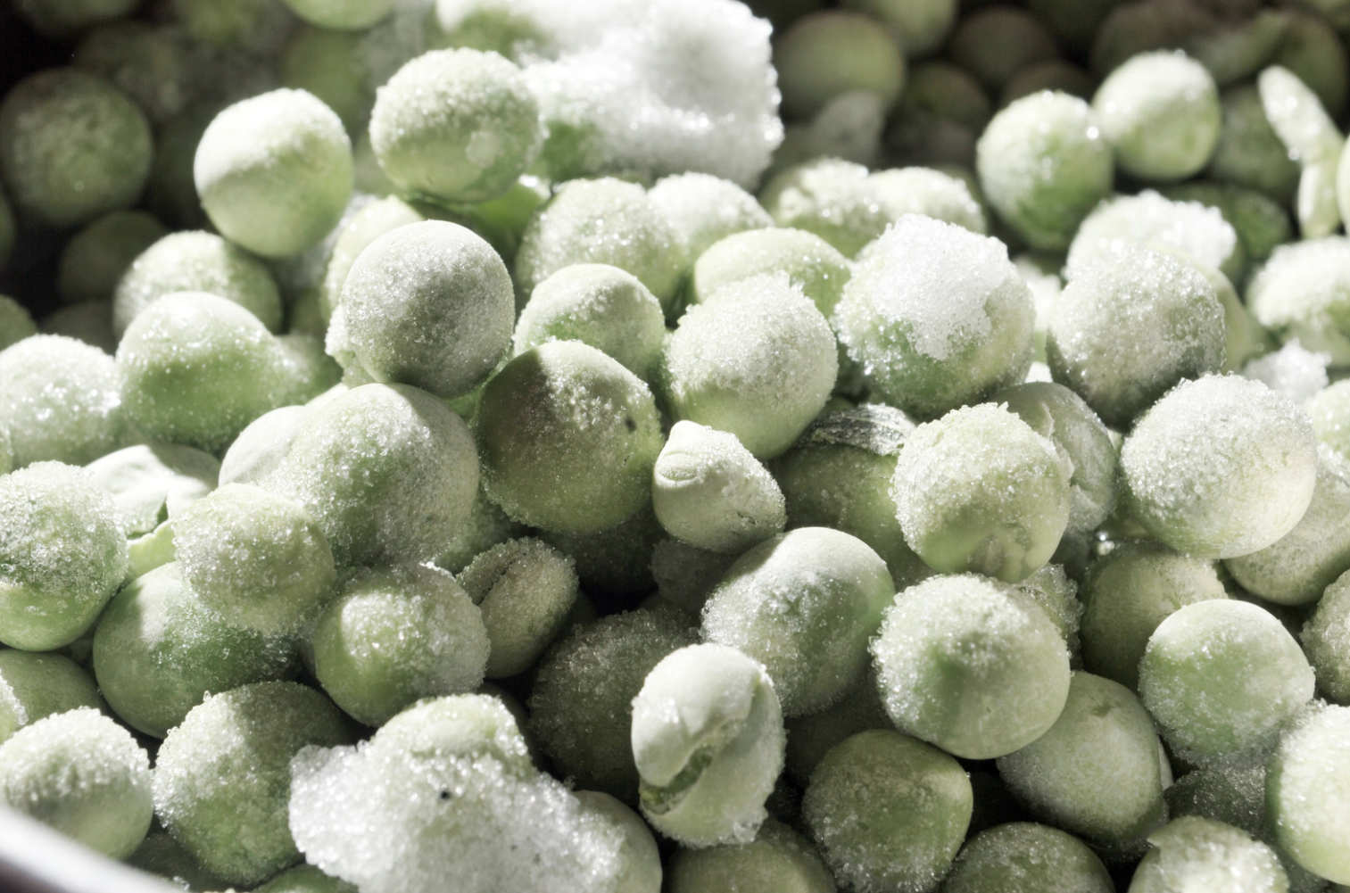 cryogenic freezer 1