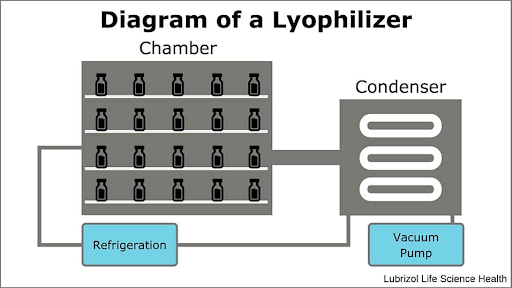 diagram of a lyophilizer