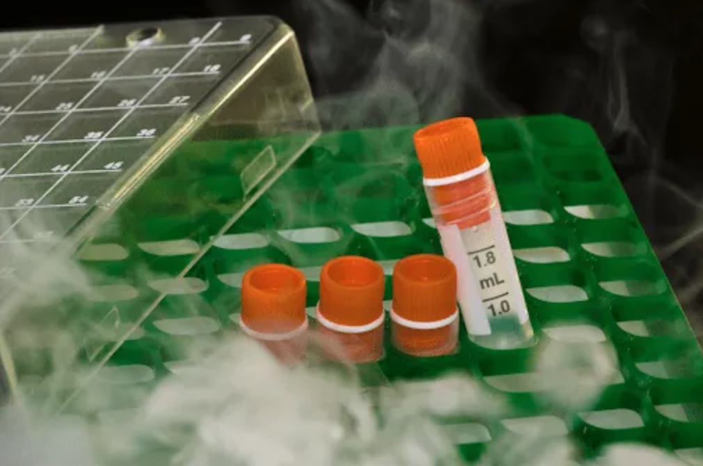 Sample storage